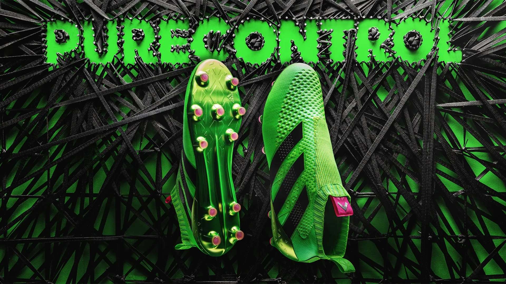 是森林狼得 是森林狼得