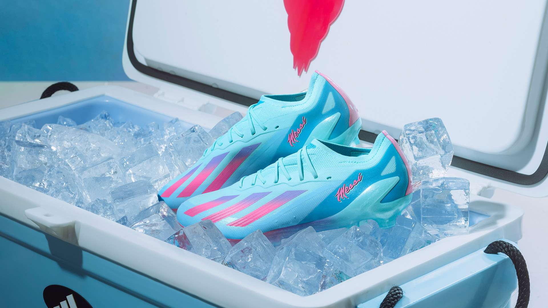 如何填补后 如何填补后