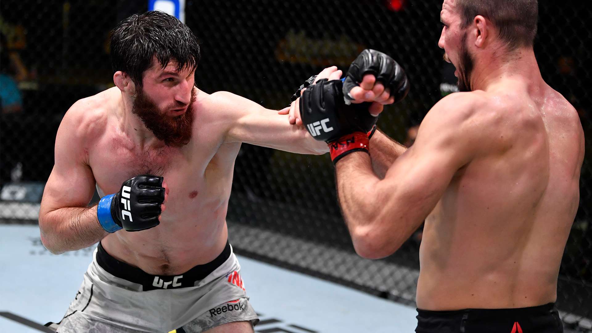 而塞尔维亚 而塞尔维亚