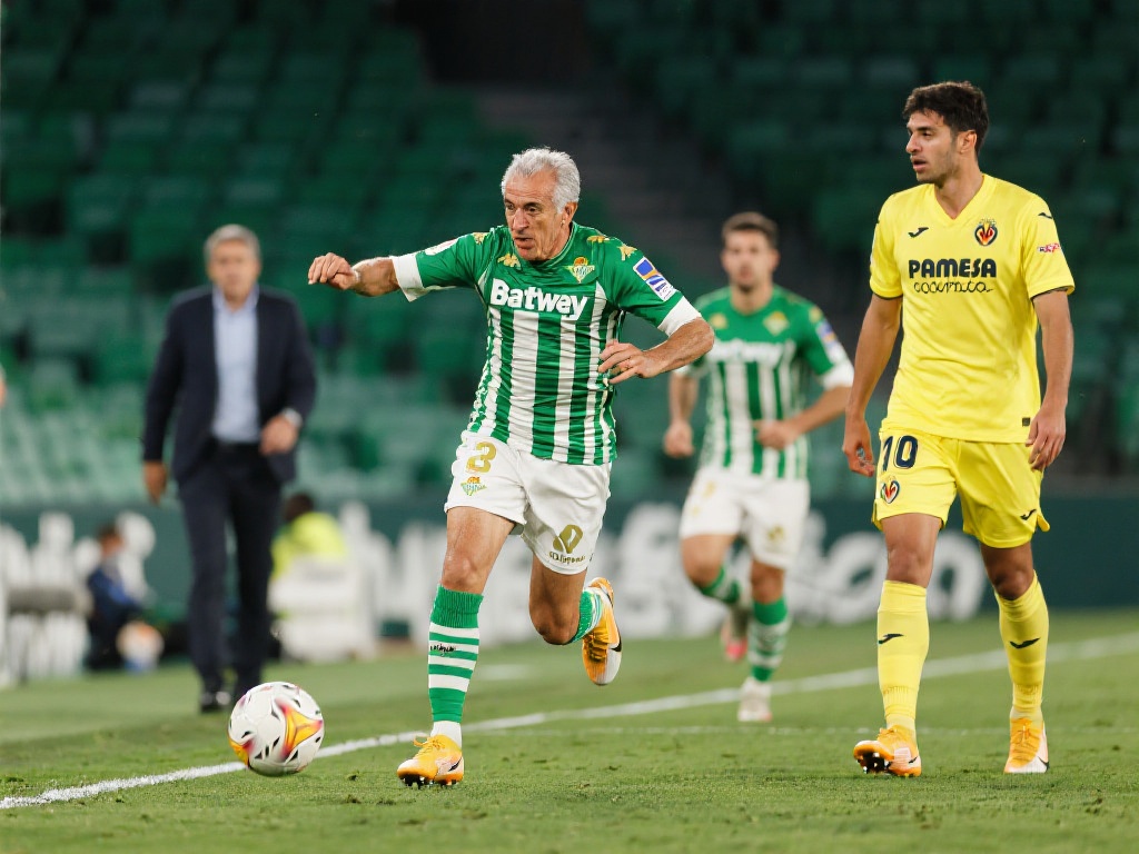 终于迎来了 终于迎来了